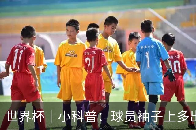 世界杯｜小科普：球员袖子上多出来的标识是什么