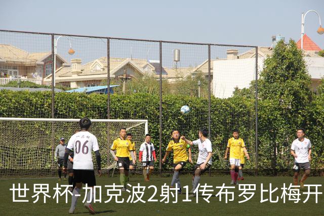 世界杯-加克波2射1传布罗比梅开二度 荷兰5-1大胜瑞典