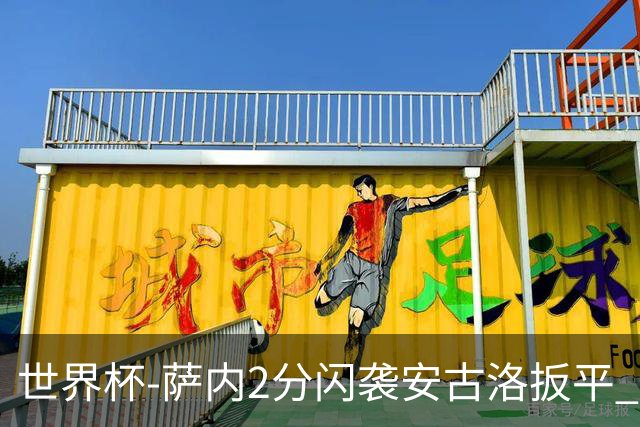世界杯-萨内2分闪袭安古洛扳平 德国半场1-1厄瓜多尔