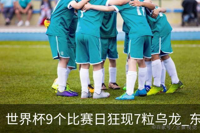 世界杯9个比赛日狂现7粒乌龙 东道主美国成最大受益者