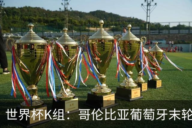 世界杯K组：哥伦比亚葡萄牙末轮交锋定头名 乌兹基本出局