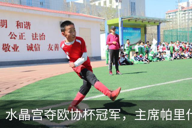 水晶宫夺欧协杯冠军，主席帕里什谈引援与年轻球员机遇