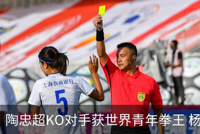 陶忠超KO对手获世界青年拳王 杨永强苦胜越老将